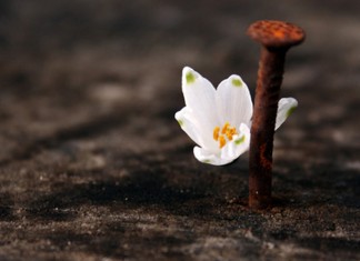 Aprenda mais sobre o perdão: 9 passos para perdoar