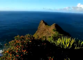 PARE TUDO E VEJA ISSO- “Perca-se na natureza e encontre a paz”