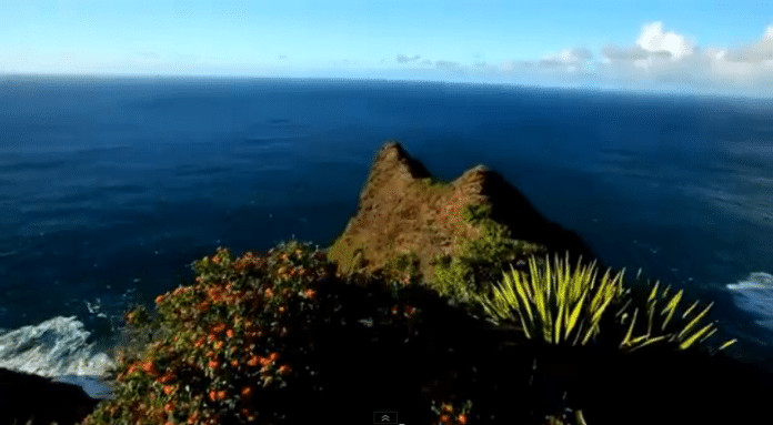 PARE TUDO E VEJA ISSO- “Perca-se na natureza e encontre a paz”