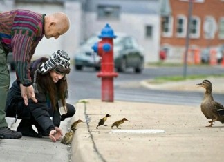 Coisas SIMPLES que você faz sem perceber e que IMPRESSIONAM as pessoas ao redor (faça seu check list!)