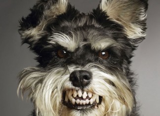 TESTE- Você está estressado?