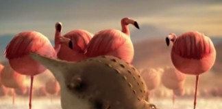 E se os animais fossem gordos? (que fofos) E se os animais fossem gordos? (que fofos)