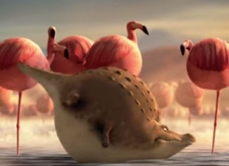 E se os animais fossem gordos? (que fofos)