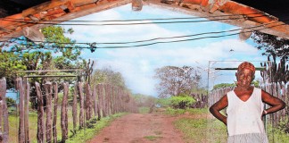 Artista encanta povoado de Feira de Santana pintando casas como se fossem paisagens