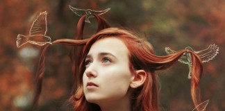 Harmonia- o mais lindo texto de Marla de Queiroz (sublime)