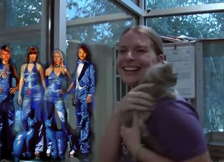 Um musical do Abba pela adoção de animais abandonados. Genial!!!