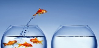 Aceite ajuda e aprenda a mudar hábitos que te fazem mal