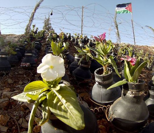 Para pedir paz na Palestina, vila cria jardim com granadas inativas