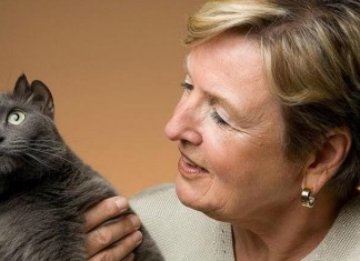 Esse é Yoda, o gato que tem 4 orelhas