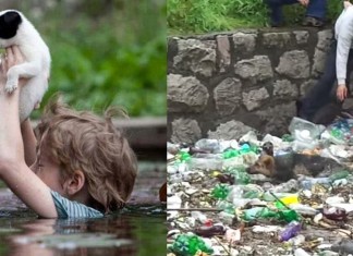 Em destaque: menino arrisca a vida para resgatar filhote