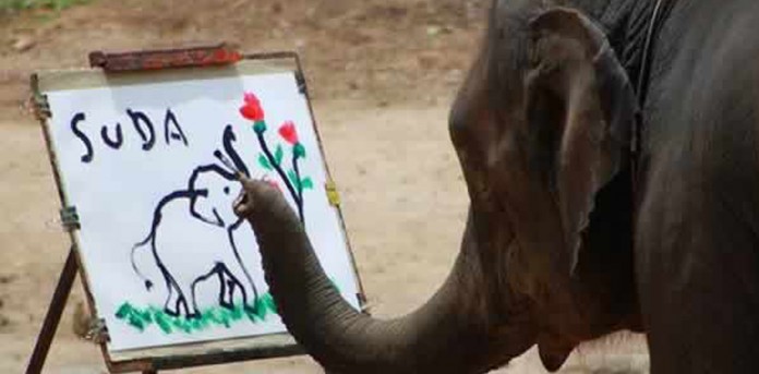 Conheça os elefantes pintores da Tailândia