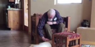 Idoso com Alzheimer volta a falar quando está perto de seu cão