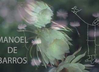 “Difícil fotografar o silêncio”, Manoel de Barros