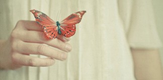 “O descaso do amor”, Ita Portugal “O descaso do amor”, Ita Portugal