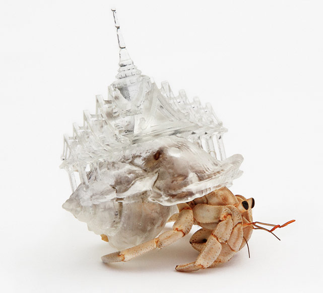 contioutra.com - Artista japonesa cria carapaças arquitetônicas para caranguejos ermitões
