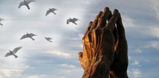 Nada é mais importante do que ensinar a compaixão