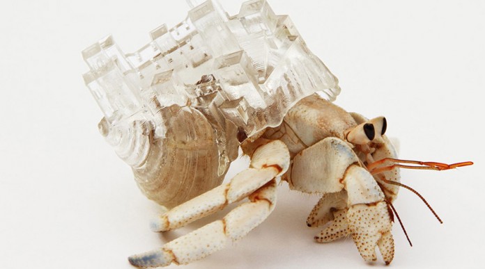 Artista japonesa cria carapaças arquitetônicas para caranguejos ermitões
