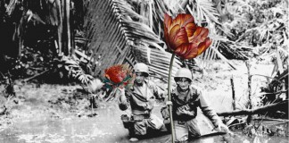 Artista substitui armas por flores em fotos vintage de soldados em tempos de guerra