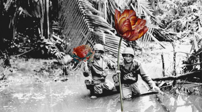 Artista substitui armas por flores em fotos vintage de soldados em tempos de guerra