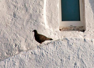 Eu não sabia, por Ita Portugal