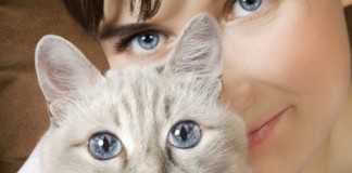 5 mitos das donas de gatos que são muito falsos