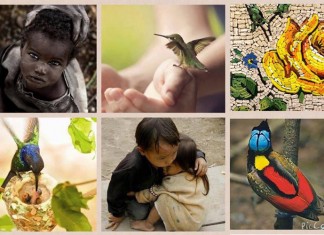 Escolha uma das imagens e leia sua mensagem poética