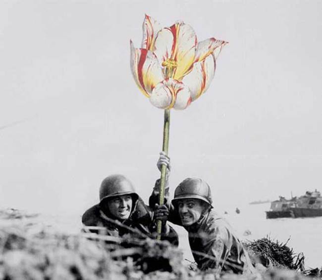 contioutra.com - Artista substitui armas por flores em fotos vintage de soldados em tempos de guerra