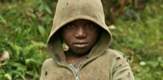 Do lixão até Harvard