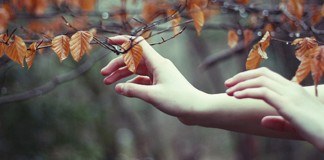 20% das pessoas são altamente sensíveis 20% das pessoas são altamente sensíveis