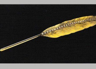 Um texto sobre a arrogância intelectual. Por Josie Conti