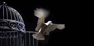 GAIOLAS DE PRATA GAIOLAS DE PRATA