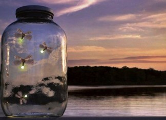 As Vagas e os Lumes de Mia Couto