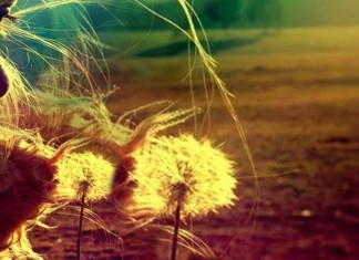 “Quer ser amado? Alugue os seus ouvidos”- Rubem Alves