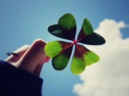 Cinco verbos da sorte para a virada do ano