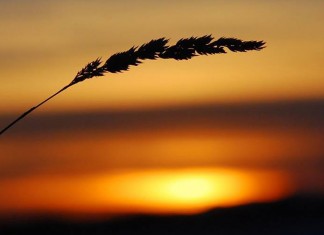 MANUAL DO INFINITO DO AGORA