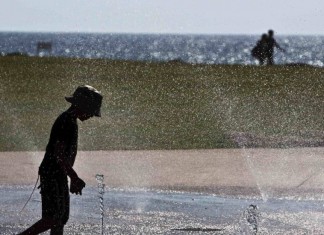 O silencioso aprendiz, por Nara Rúbia Ribeiro
