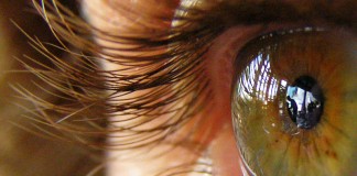 3 passos para expandir seus poderes de observação 3 passos para expandir seus poderes de observação