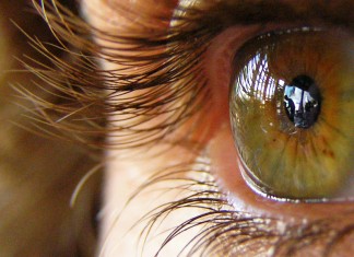 3 passos para expandir seus poderes de observação