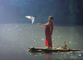 Todo para sempre é provisório