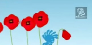 Animação divertida nos lembra que a água só é presente se respeitados os seus ciclos