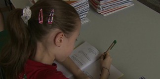 Sobre o “Diário de Fabiana, uma menina não muito normal”