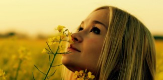 A diferença entre obrigado e gratidão