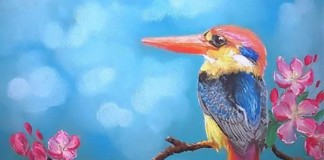 De quando o pássaro apiedou-se do Sol