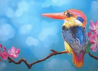 De quando o pássaro apiedou-se do Sol