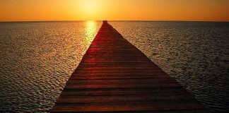 Quase, por Joana Nascimento Quase, por Joana Nascimento