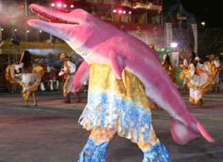 A lenda do boto rosa, da Série: Recontando as lendas brasileiras