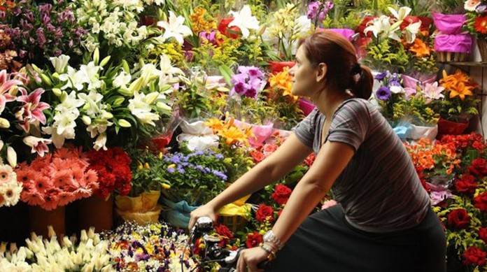 FLORES CAPA O amor em tempos de colheita