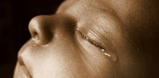 O primeiro choro do Homem