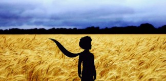 Os dourados da vida: sobre a essência do Pequeno Príncipe que existe em você