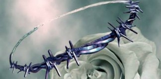 10 doenças espiritualmente transmissíveis, por Mariana Caplan